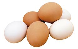куринные яйца